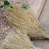 Heavy-Duty Bamboo Broom