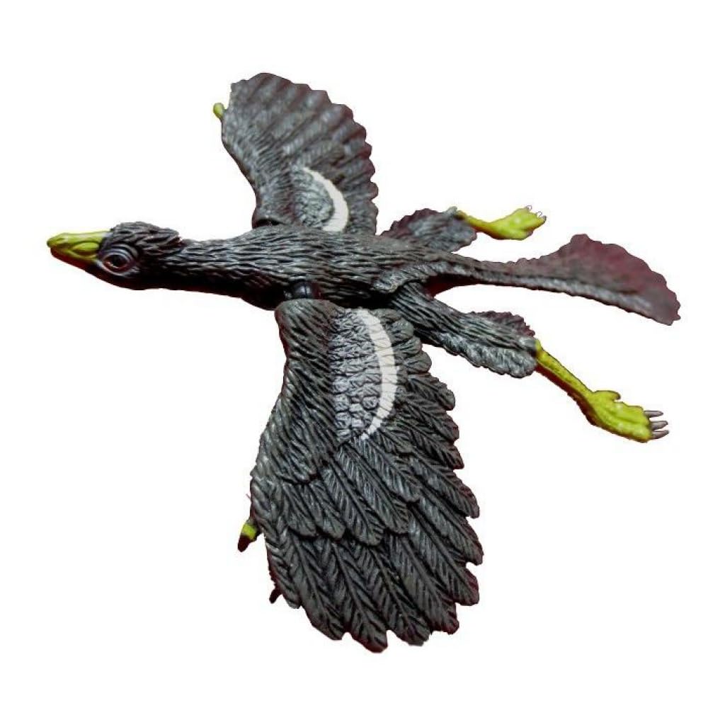 

Під наглядом Kodansha MOVE Фігурка динозавра Археоптерикс [Archaeopteryx] MV-D15