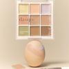 Pro Concealer Palette