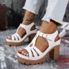 Ethnic Style Roman Car Line Sandals Summer T-heels with Casual European and American Thick Heels Women's High Heels