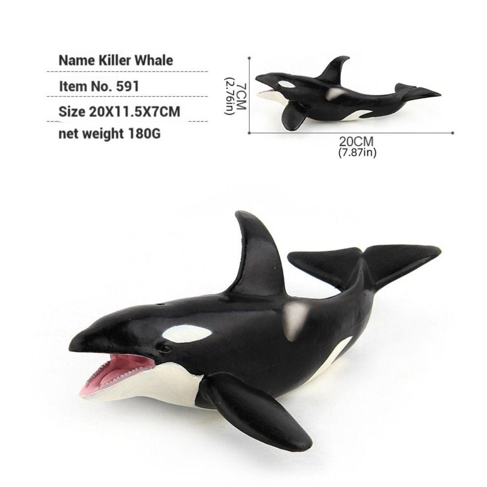 Ocean Animals Whale Figurines Simulation Sea Life Figure Collection Marine Animal Model  Home Decor