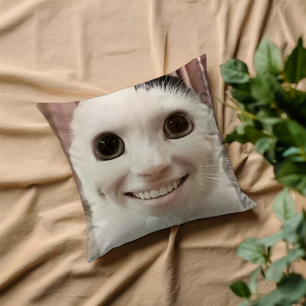 cushion Funny cover Square Sofa Cushion Meme Cover Casual Cat Skin-Friendly Comfortable Pillow Cover