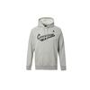 Sweatshirts Men's Gray Hooded Moderate Regular 10017675-035
