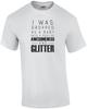 I Was Dropped As a Baby Into a Pool of Awesomeness and Glitter - Funny T-shirt Unisex T-Shirt