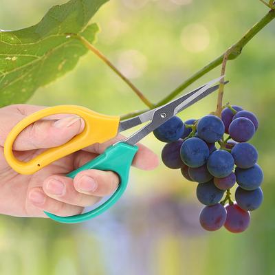 Herramientas de jardinería – Tijeras de jardinería