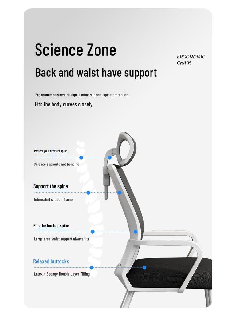 Ergonomic Office Chair with Lumbar Support – Comfortable for Long Sitting, Ideal for Employees and Meetings