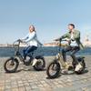 ENGWE L20 3.0 Pro Electric Bicycle 250W Motor 48V15AH Lithium Battery Hydraulic Disc Brake Electric Bike 20*3 inch Tires