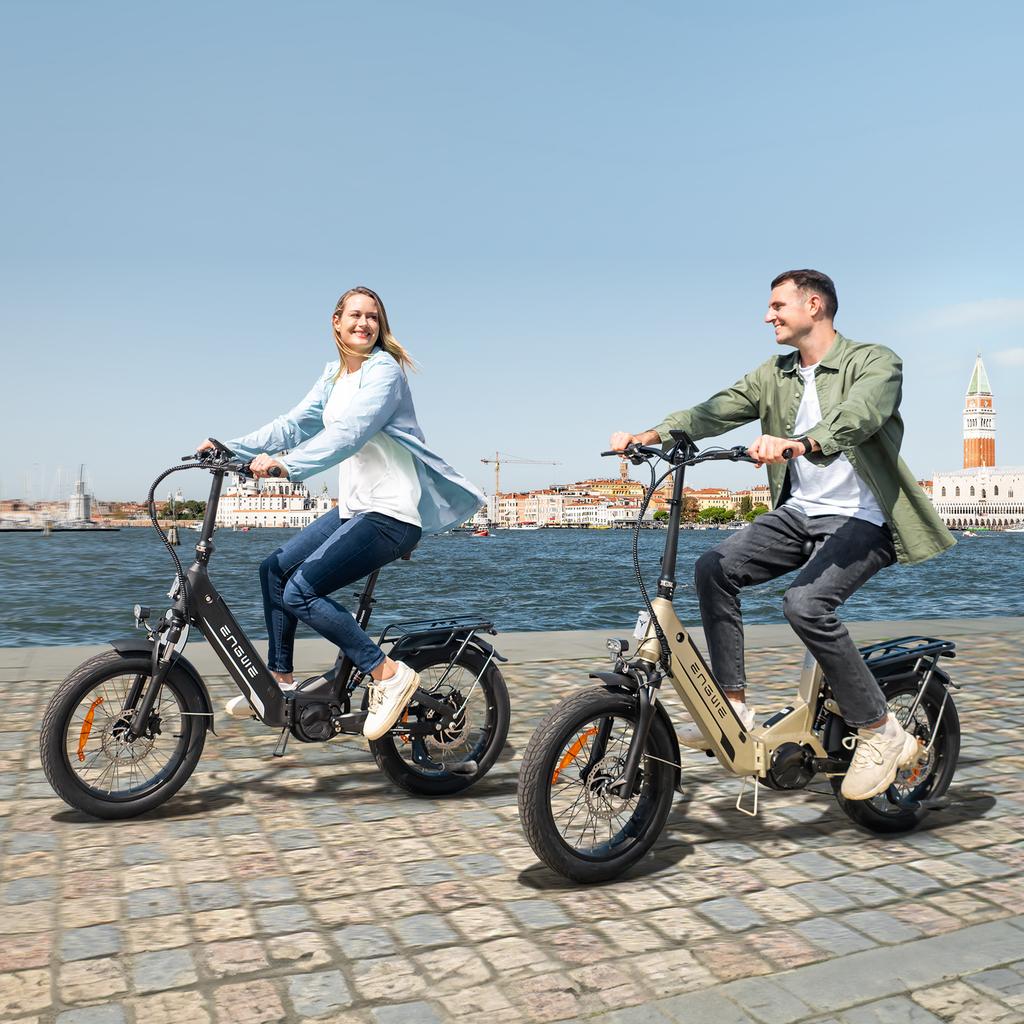 ENGWE L20 3.0 Pro Electric Bicycle 250W Motor 48V15AH Lithium Battery Hydraulic Disc Brake Electric Bike 20*3 inch Tires