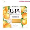 Botanical Citrus Purifying Soap (30x95g)