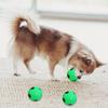 Green Football Dog Chew Toy Bite Resistant Soccer Squeaky Ball Pet Interactive Toy Small Medium Large Dogs Teething Cleaning Toy