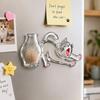 Transparent Cat Whiskers Collection Ornaments Pet Memorial Box  Home Refrigerator Decor