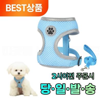 Lissy Pet Dog Night Reflection Safe Harness Leash Set, Blue, 2 Sets
