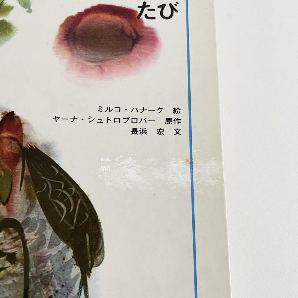 [USED] Picture Book: Chicken Fiffin's Journey Story Art Book Series 1 Mirko Hanark