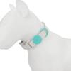 Candy Color Medium Dog Collar Fashion Cat Pet Collar For Puppy Small Dogs Leashes