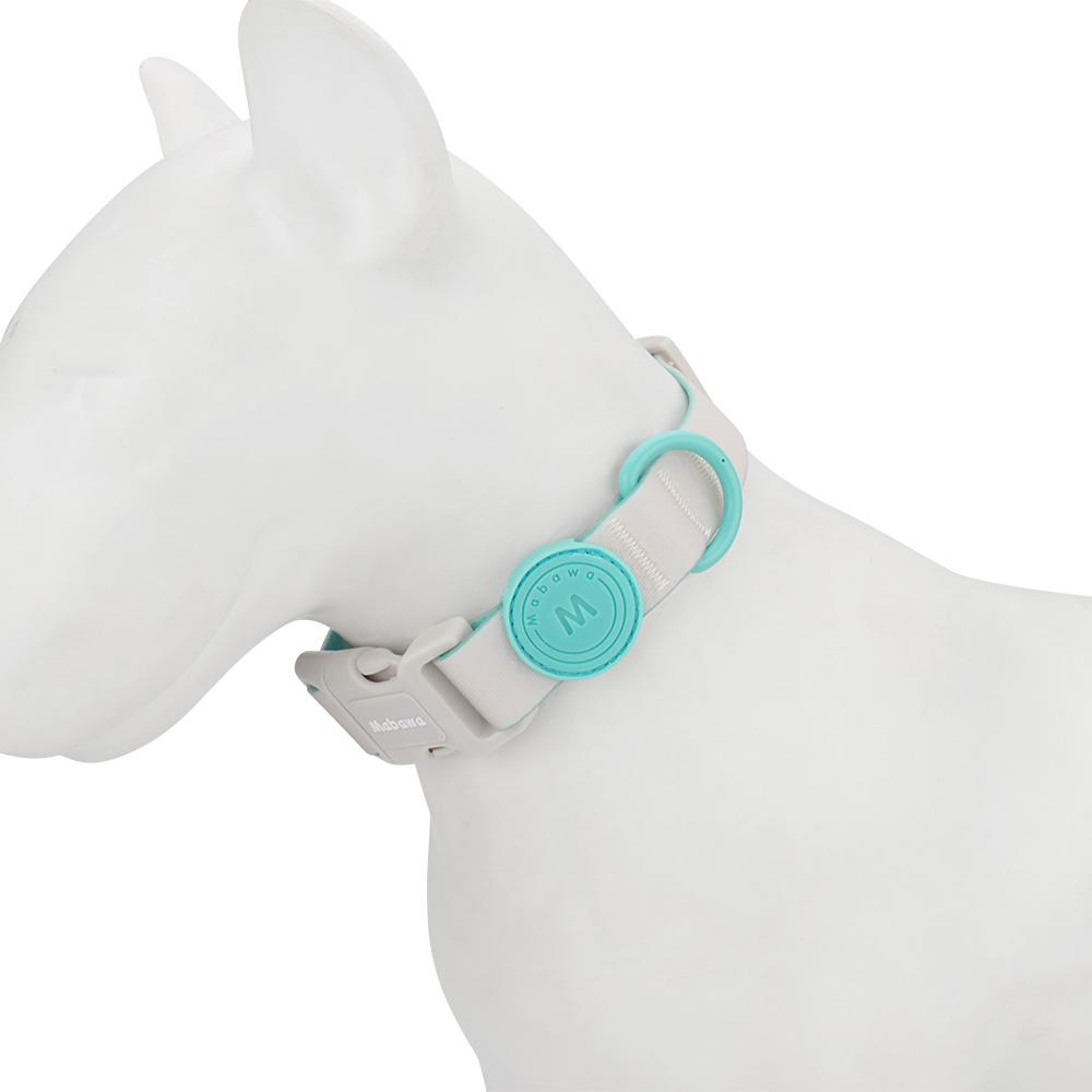 Candy Color Medium Dog Collar Fashion Cat Pet Collar For Puppy Small Dogs Leashes