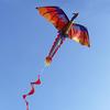 140cm x 120cm Celsius 55 x 47 Inch Dragon Kite Single Line Flying Kite with Tail 100m Flying Line for Kids Adults