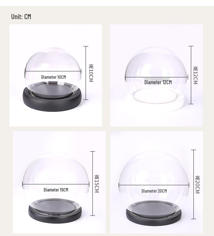Spherical Glass Display Box & Dust Cover for Hand Models