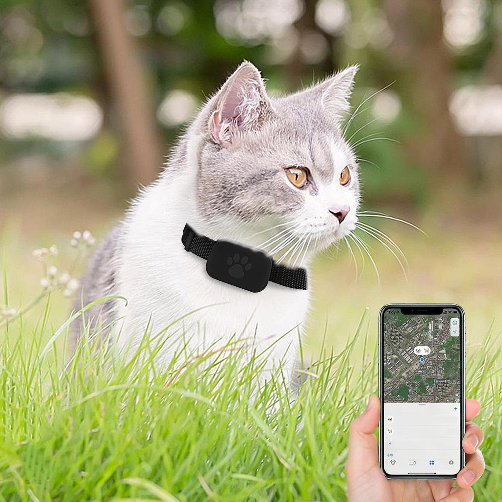 Collier GPS de Suivi pour Chat pour la Sécurité de l'Animal de Compagnie Chaton Batterie Longue Durée Chat Animal Localisateur Mondial pour Chiot Moyen Grand