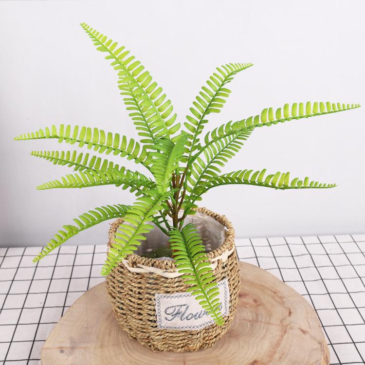 Nordic Simulated Fern Wall Accessories Natural Soft Rubber Simulated Grass Persian Grass