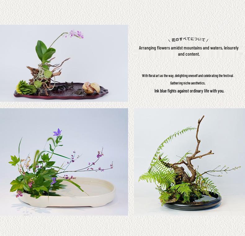Brazilian Rosewood Square Ceramic Shallow Dish for Indoor Decor
