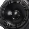 Shile BM-15 15-inch Professional Stage Speaker (Pair)