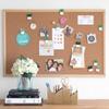 9/20Pcs DIY Succulent Plants Decorative Pushpins Creative Cork Board Tacks  Wall Markers
