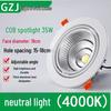Recessed 20W Spotlight Downlight for Clothing Stores, 15-30W Commercial Ceiling Light