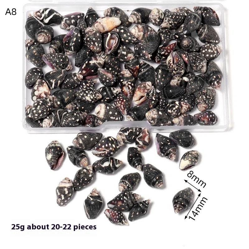 1 Box Sea Shells Spiral Shell Tiny Ocean Spiral Seashells Crafts Aquarium Decor Landscaping Accessories