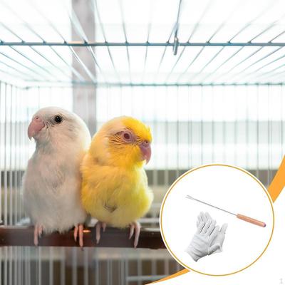 Bird Cage Cleaner with Wooden Handle, Remover for Parrots And Parakeets