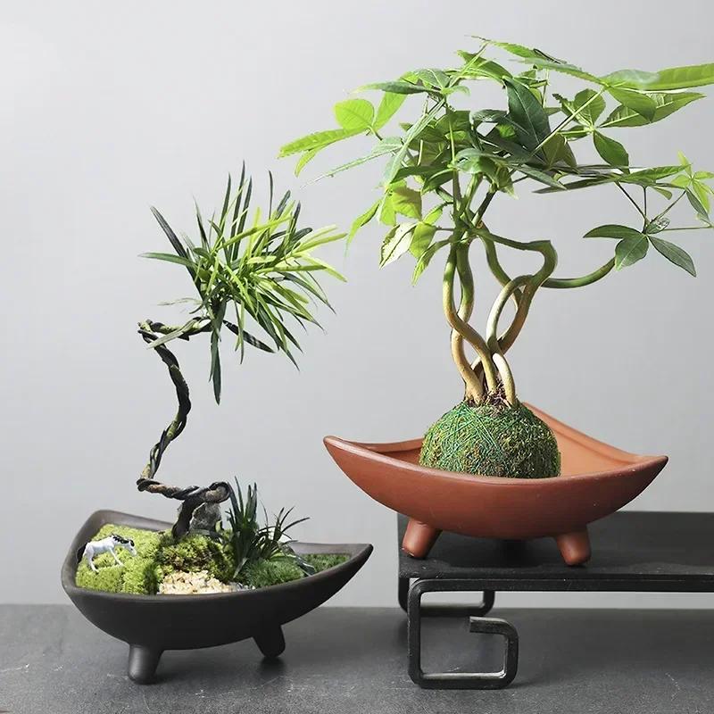 Ceramic Flower Pots for Bamboo Indoor Micro Landscape Plants Purple Clay Pot Decoration