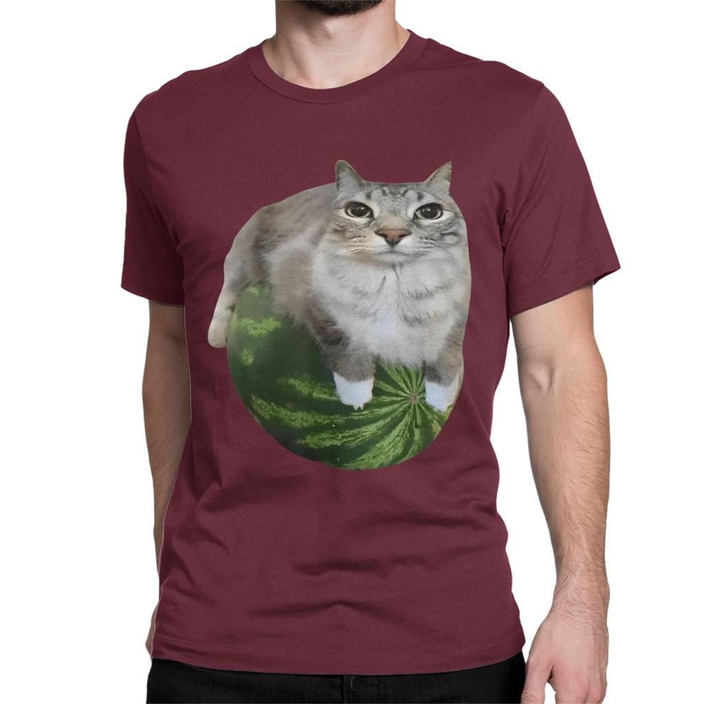 Watermelon Cat Silly T Shirt for Men Women 100 Cotton TShirt Round Collar Funny Meme Tee Shirt Short Sleeve Clothes Plus Size