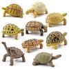 Sulcata Tortoise Mold Vivid Clear Texture 3D Effect Sea Ocean Life Simulation Animal Model for Kids