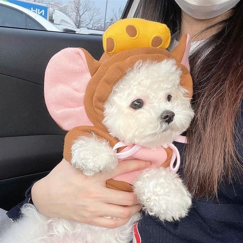 Spring and Autumn Thin Three-dimensional Mushroom Sweater Dog Clothes Teddy Bigbear Cat Medium Small Dog Pet Clothes