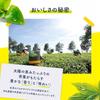 Japanese Product Lipton Yellow Label Tea Bags 120 pcs