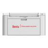 Pantum A4 Black and White Laser Printer Series CN plug (adapter included)