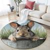 Rabbit pattern round rug,Carpet Rug for Living Room Bedroom Playroom ,Non-slip Floor Mat,Holiday Gifts and Birthday Gifts.