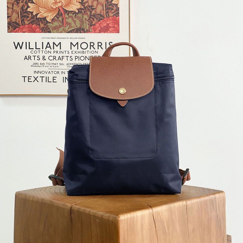 Classic Double Shoulder Bag, Jiaozi Style Nylon Backpack, Lightweight and Foldable Waterproof Travel Bag for Women
