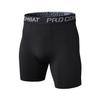 Men's Quick-Dry Breathable High-Elastic Fitness Shorts