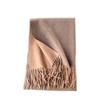 Double-Sided Solid Color Imitation Cashmere Scarf with Tassels – Cozy Korean Autumn/Winter Fashion for Students
