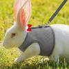 2 Set of Bunny Harness and Leash,Adjustable Bunny Leash for Small Pets. This Complete Rabbit Harness and Leash Set Features Soft Mesh Vests for Safe