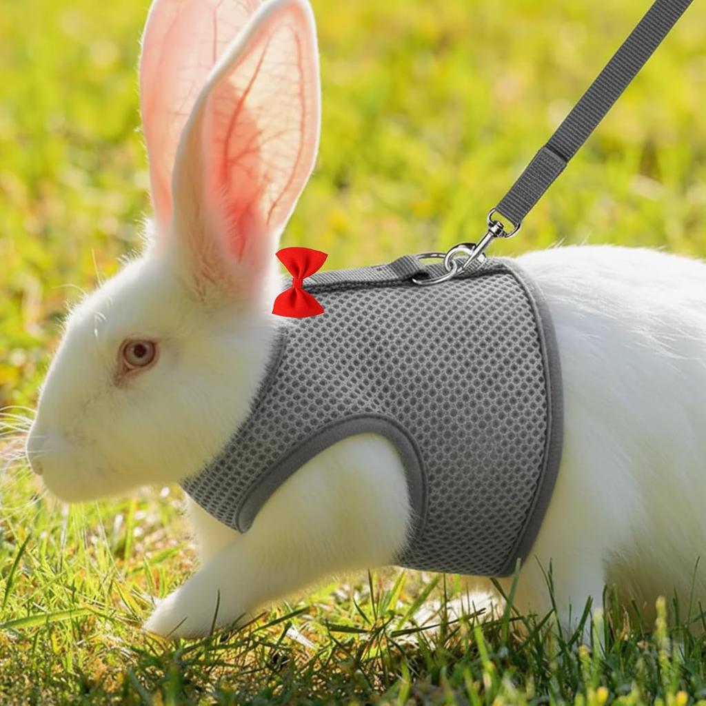 2 Set of Bunny Harness and Leash,Adjustable Bunny Leash for Small Pets. This Complete Rabbit Harness and Leash Set Features Soft Mesh Vests for Safe