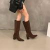High Heel Suede Coffee Pile Long Knight Boots Women's Boots 2025 Autumn and Winter Skirt Skinny Medium Boots