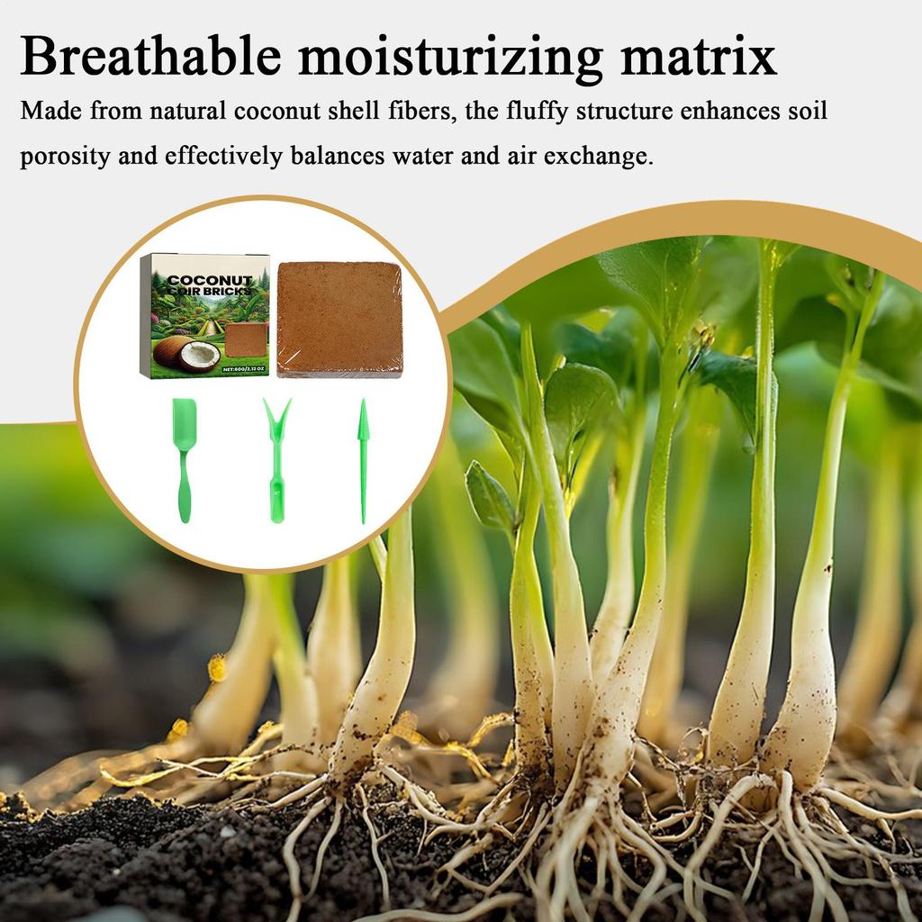 Plant cultivation coconut fiber brick Reusable Natural Bricks Gardening Accessory for Hydroponics Gardening Accessories