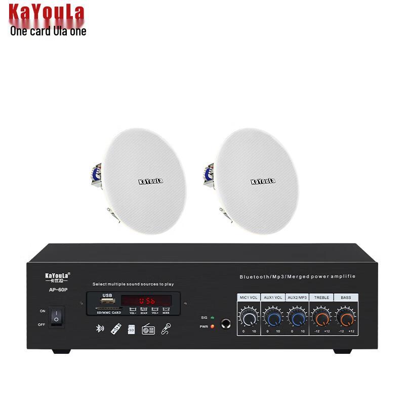 Kayoula Ceiling Speaker Home Theater System (CN version)