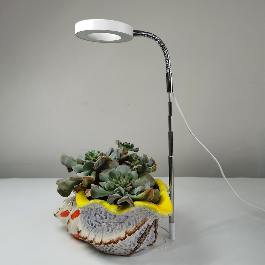 Ground-plugged Plant Light Timable Dimmable Angel Ring Full Spectrum Imitation Sunlight Succulent