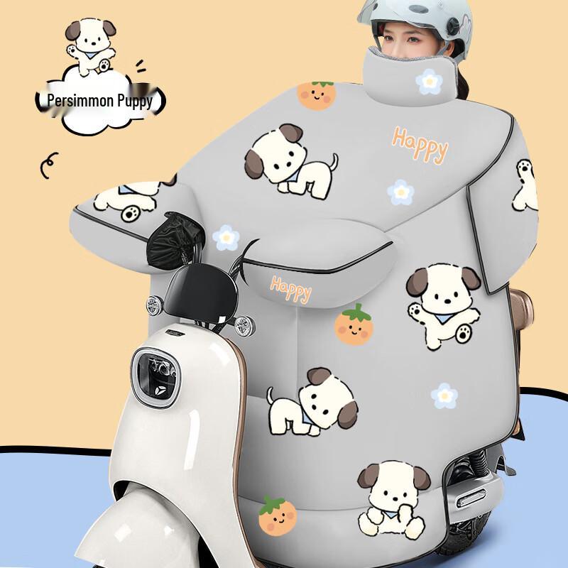 

Chang Baosen Electric Scooter Winter Windproof Leg & Shoulder Protector