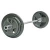 Wolf Flame Painted Olympic Barbell Set