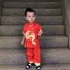 Children's Tang Suit Red Hanfu with Embroidered Dragon - Short Sleeve for Boys, Spring/Autumn