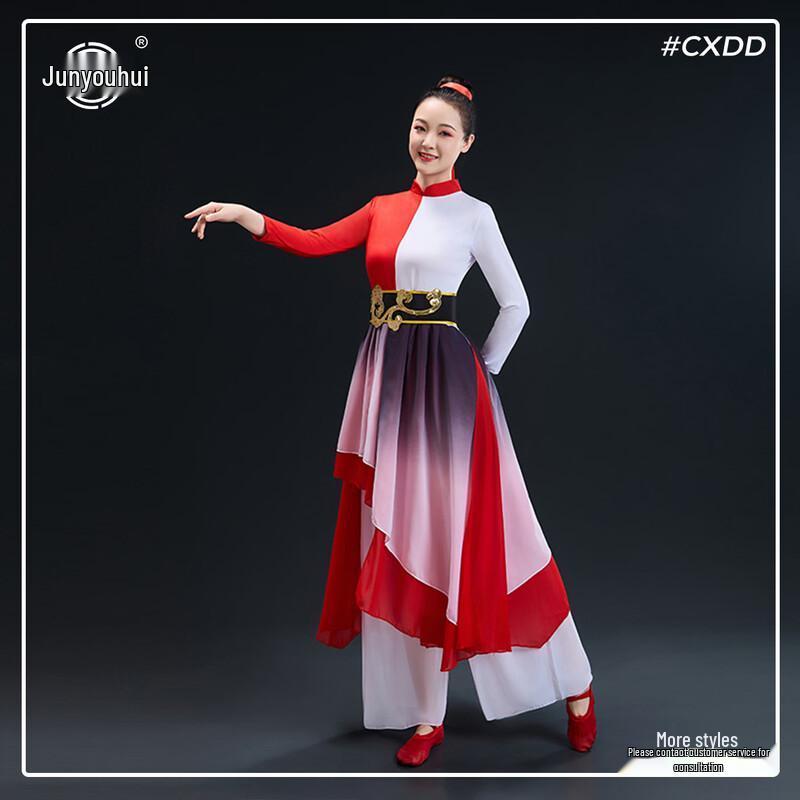 Chinese Classical Dance & Folk Performance Costume L