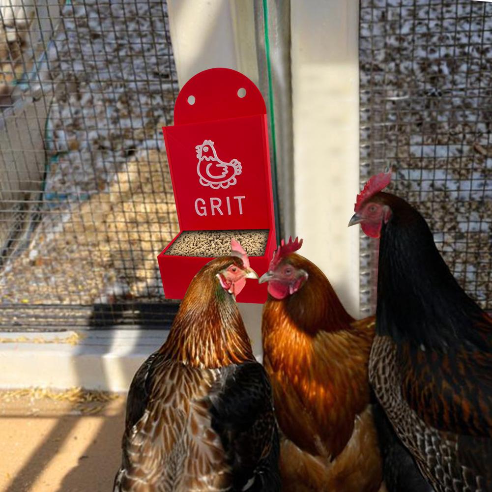 Chicken Feeding Trough Precision Nutrition Oyster Shell Feeder No Waste Design Automatic Chicken Feeder Chicken Coop Accessories